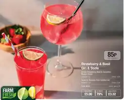 Makro Strawberry & Basil Gin & Soda offer