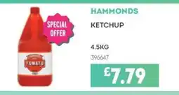 Bestway HAMMONDS Ketchup offer