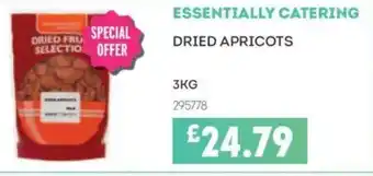 Bestway ESSENTIALLY CATERING Dried apricots offer