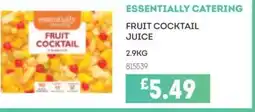 Bestway ESSENTIALLY CATERING Fruit cocktail juice offer