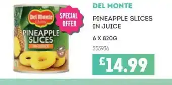 Bestway DEL MONTE Pineapple slices in juice offer