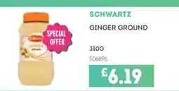 Bestway SCHWARTZ Ginger ground offer