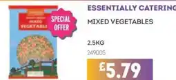 Bestway ESSENTIALLY CATERING Mixed vegetables offer