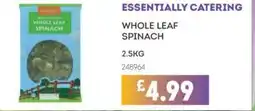 Bestway ESSENTIALLY CATERING Whole leaf spinach offer