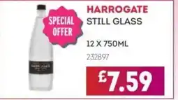 Bestway Harrogate still glass offer