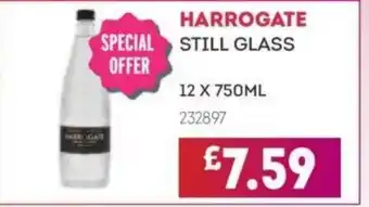 Bestway Harrogate still glass offer