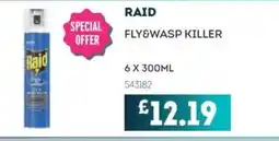 Bestway RAID Fly&wasp killer offer