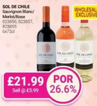 Bestway SOL DE CHILE Sauvignon Blanc/ Merlot/Rose offer