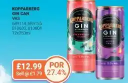 Bestway KOPPARBERG Gin can offer