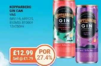 Bestway KOPPARBERG Gin can offer