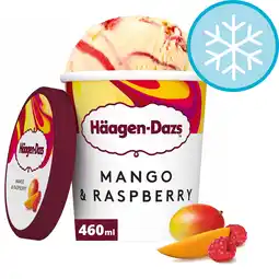 Tesco Haagen-Dazs Mango & Raspberry Ice Cream 460Ml offer