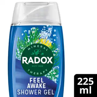 Tesco Radox Sea Minerals Feel Awake 2-in-1 Shower Gel Body Wash Shampoo 225ml offer