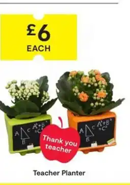 SuperValu Teacher Planter offer