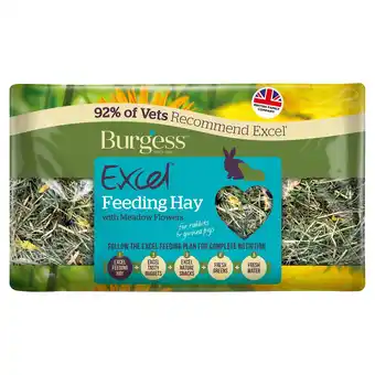 Tesco Burgess Excel Feeding Hay With Meadow Flowers 500G offer