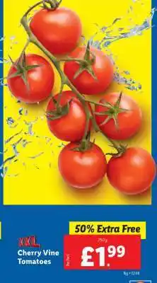 Lidl XXL Cherry Vine Tomatoes offer