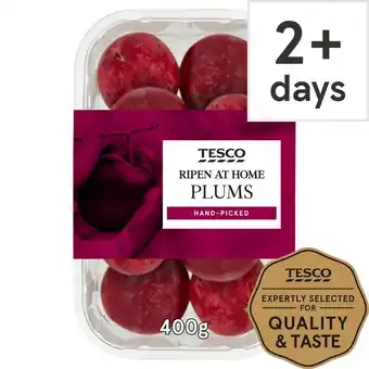 Tesco Tesco Plums 400G offer
