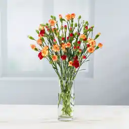 Asda Large Spray Carnations offer
