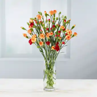Asda Large Spray Carnations offer