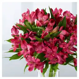 Asda ASDA Alstromeria offer