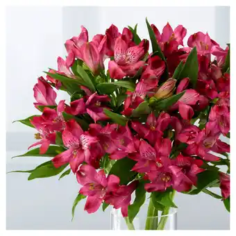 Asda ASDA Alstromeria offer