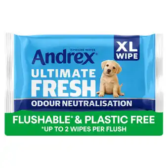Tesco Andrex Ultimate Fresh XL Hygiene Wipes Odour Control Moist Toilet Tissue Single Pack offer