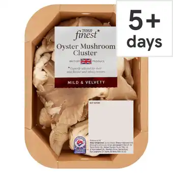 Tesco Tesco Finest Oyster Mushroom Cluster 150G offer