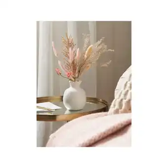 Asda At Home with Stacey Solomon Hand Assorted Dried Florals offer