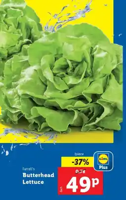 Lidl Farrell's Butterhead Lettuce offer