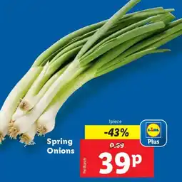 Lidl Spring Onions offer