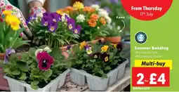 Lidl Summer Bedding offer