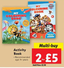 Lidl Activity Book offer