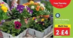 Lidl Summer Bedding offer