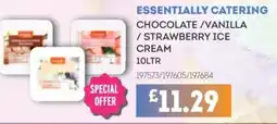 Bestway ESSENTIALLY CATERING Chocolate/vanilla / strawberry ice cream offer
