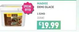 Bestway MAGGI Demi glace offer