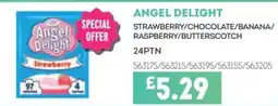 Bestway ANGEL DELIGHT Strawberry/chocolate/banana/ raspberry/butterscotch offer