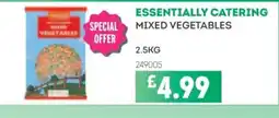 Bestway ESSENTIALLY CATERING Mixed vegetables offer