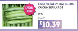 Bestway Essentially catering cucumber large offer