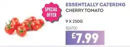 Bestway Essentially catering cherry tomato offer