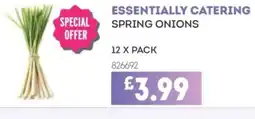 Bestway ESSENTIALLY CATERING Spring onions offer