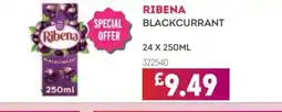 Bestway RIBENA Blackcurrant offer