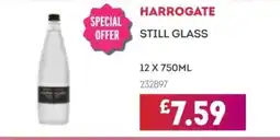 Bestway HARROGATE Still glass offer