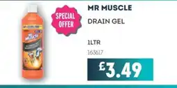 Bestway MR MUSCLE Drain gel offer