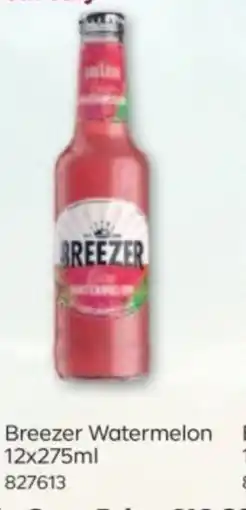 Bestway Breezer Watermelon offer