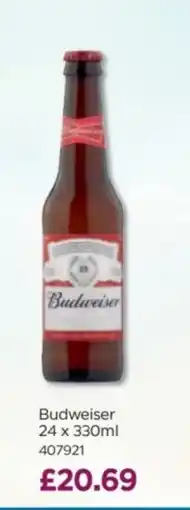 Bestway Budweiser offer