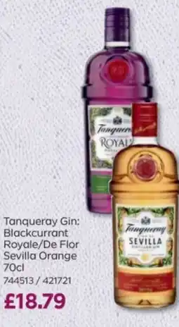 Bestway Tanqueray Gin offer