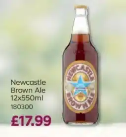 Bestway Newcastle Brown Ale offer