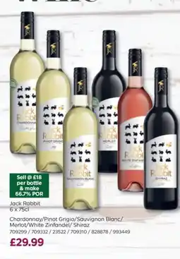 Bestway Jack Rabbit offer