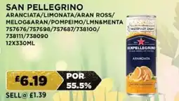 Bestway SAN PELLEGRINO Aranciata/limonata/aran ross/ melog&aran/pompeimo/lmn&menta offer