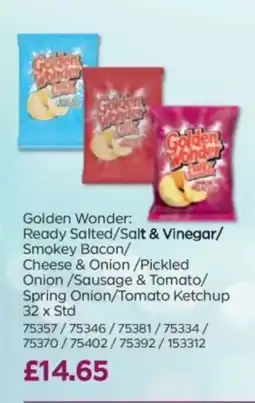 Bestway Golden Wonder offer