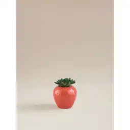 Asda George Home Red Artificial Strawberry Succulent offer